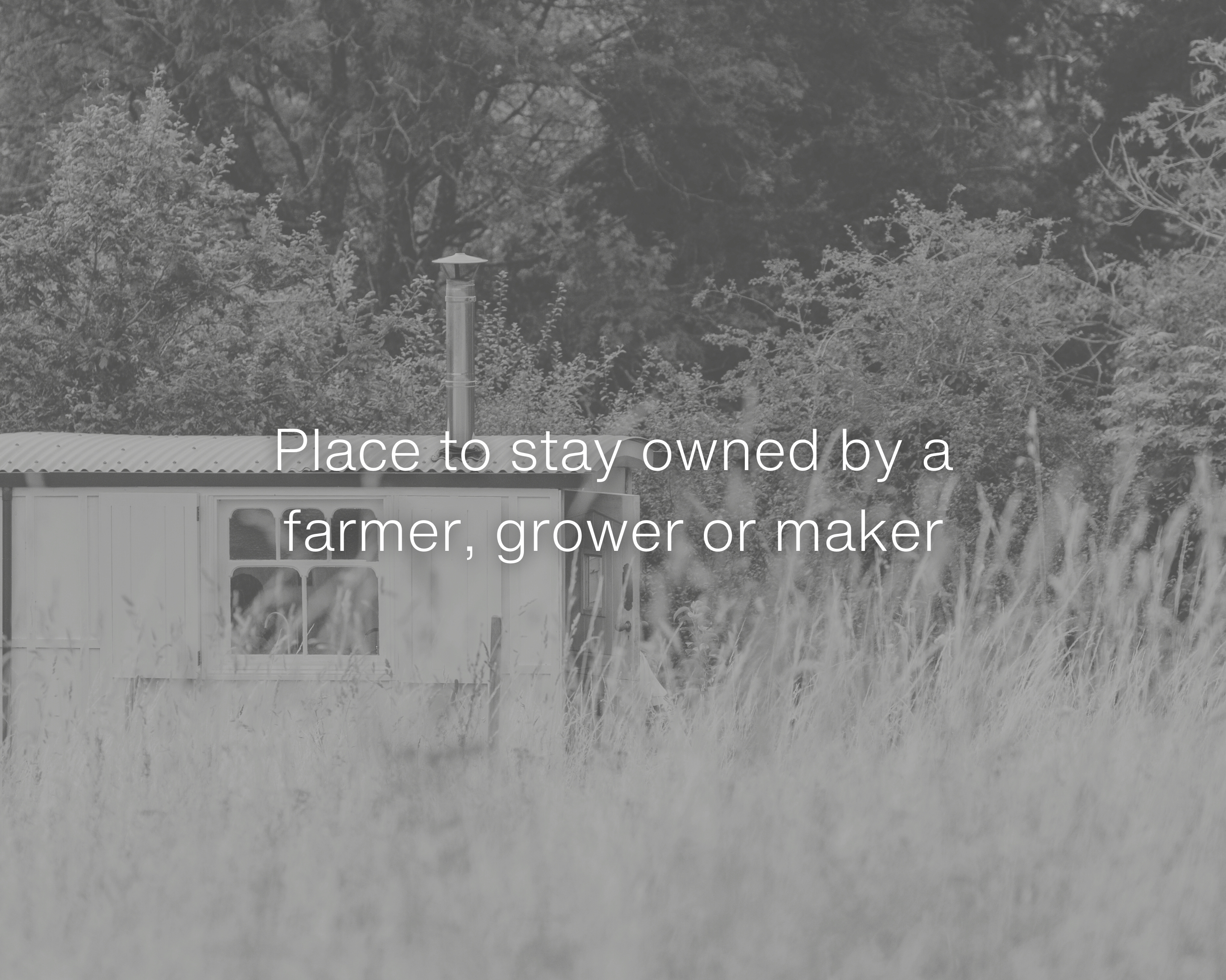 Spot House Farm Off Grid Glamping